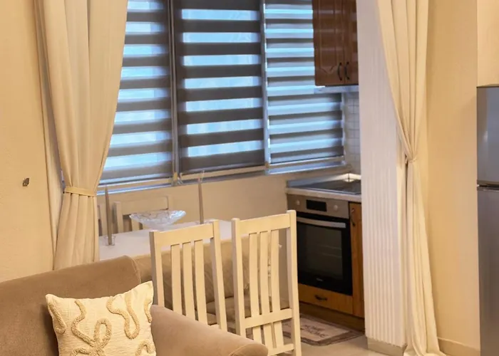 Downtown And Mountain View Floor Apartment *